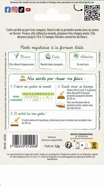 Fleurs - Lupin Gallery - Graines d'Exception - MEDIA_PACKAGING_VERSO